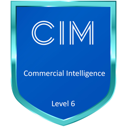Fractional marketing & communications manager